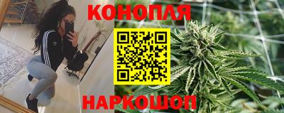Альфа ПВП Кунгур